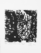 oszust(2) internet.JPG